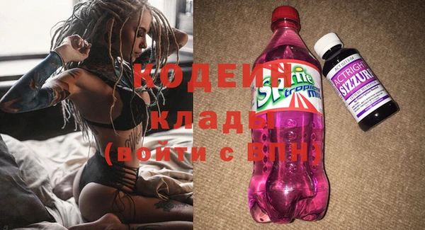 дмт Арсеньев