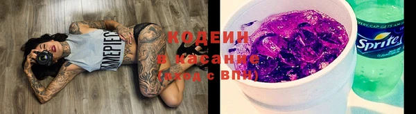 дмт Арсеньев