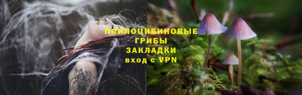 кокс Аркадак