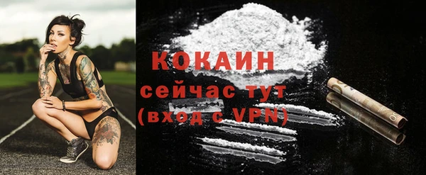 кокс Аркадак