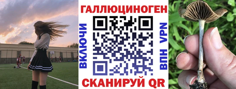 Галлюциногенные грибы MAGIC MUSHROOMS  МЕГА онион  Нарткала 